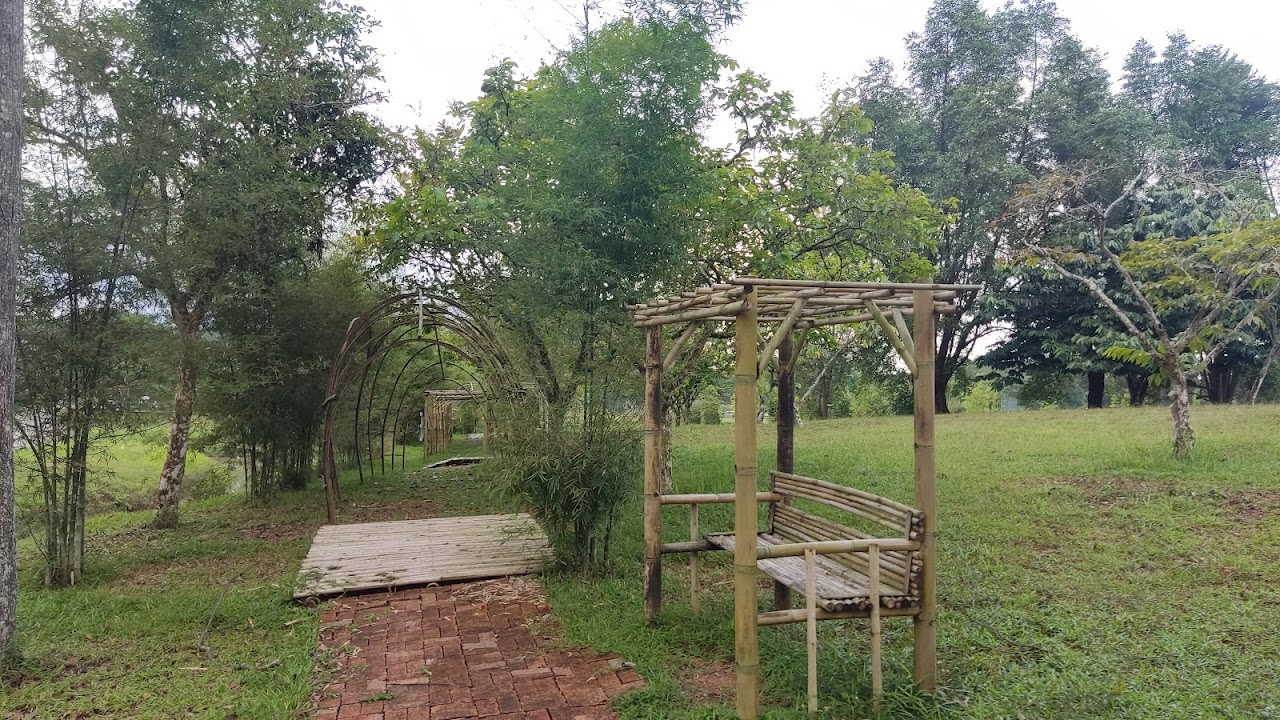 Bamboo Avenue, Малайзия