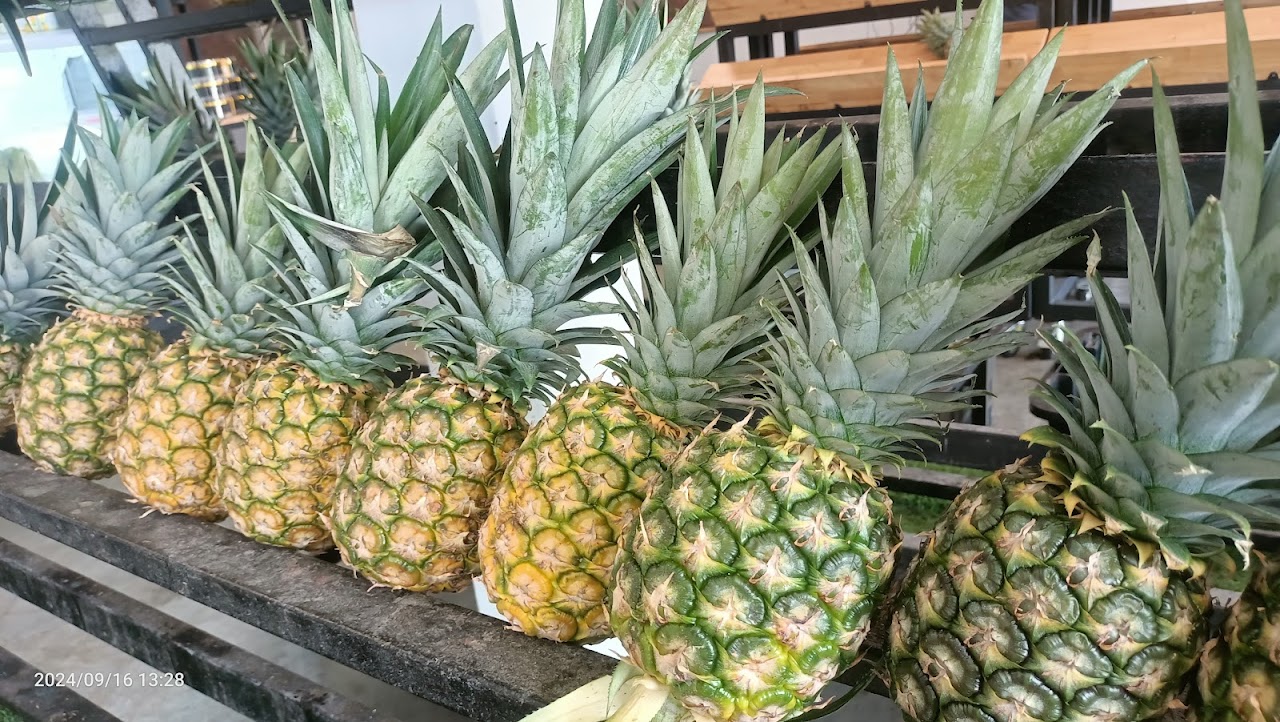 Kulim Pinapple Farm, Малайзия