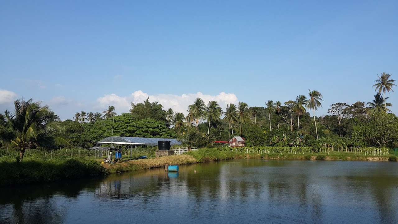 Comfort Organic Farm, Пенанг
