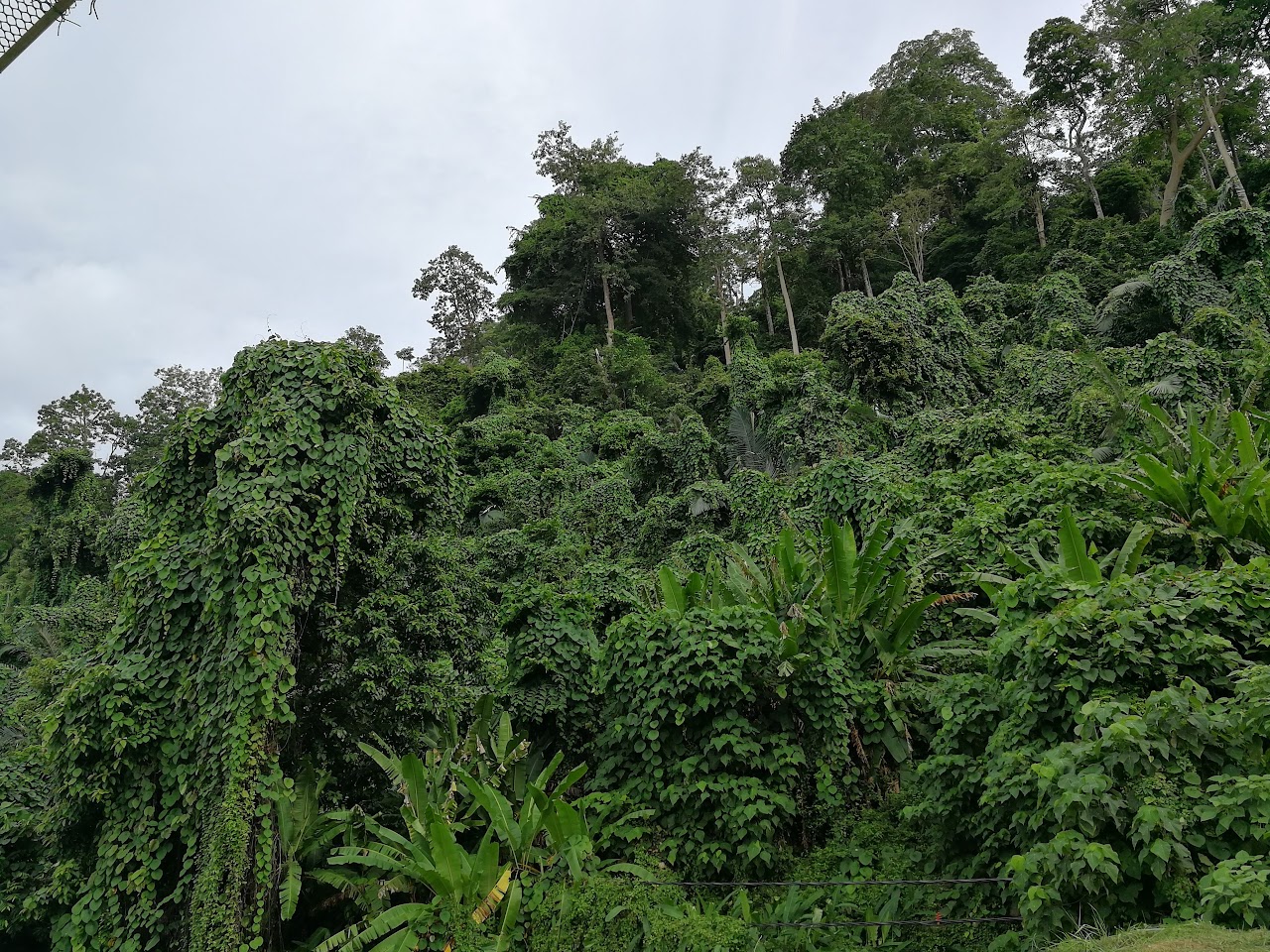 Tioman Island Golf Club