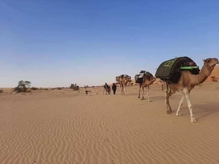 Travel and Trips in Mauritania, Нуакшот