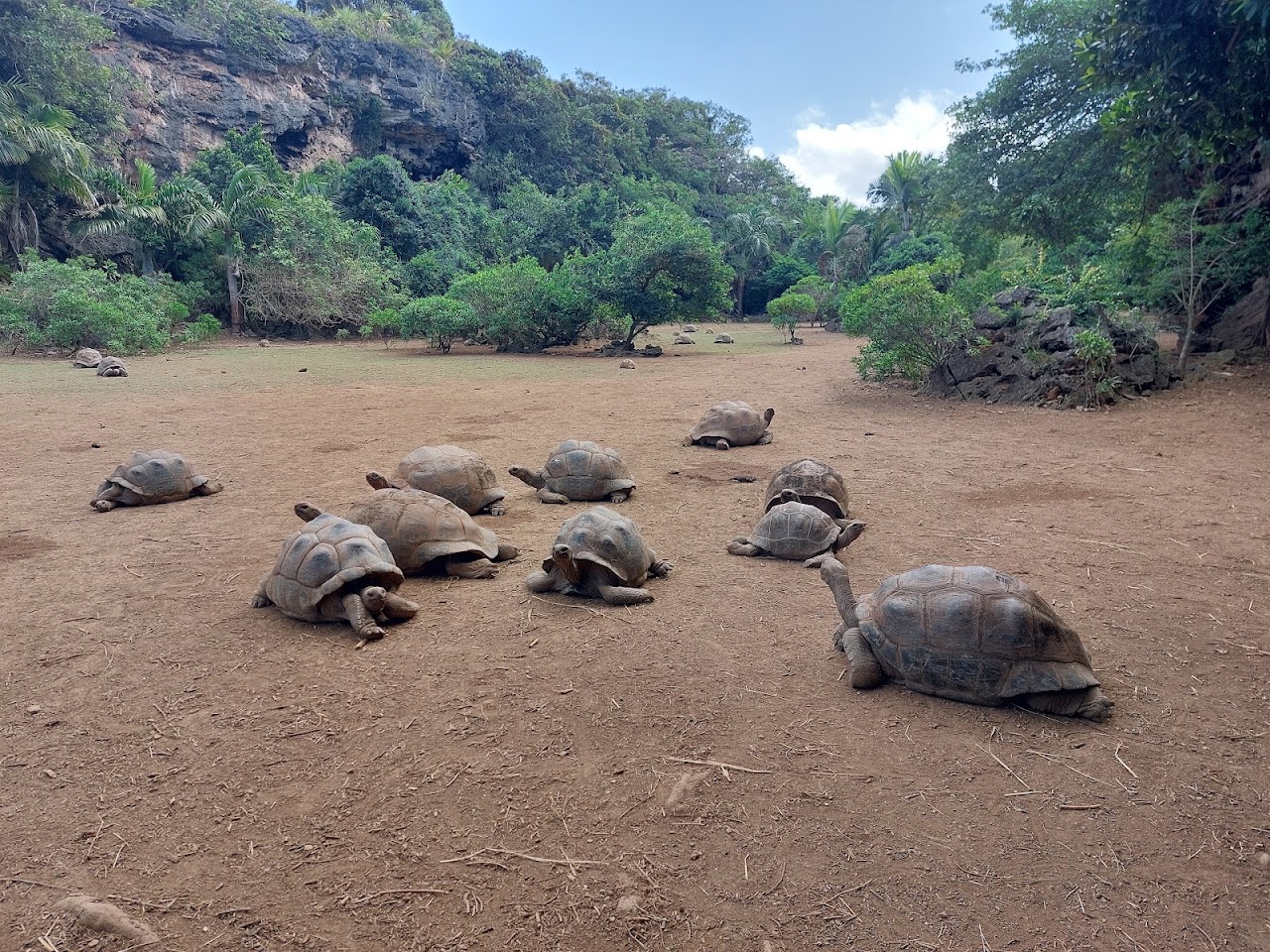 Francois Leguat Tortoise Parc, Маврикий