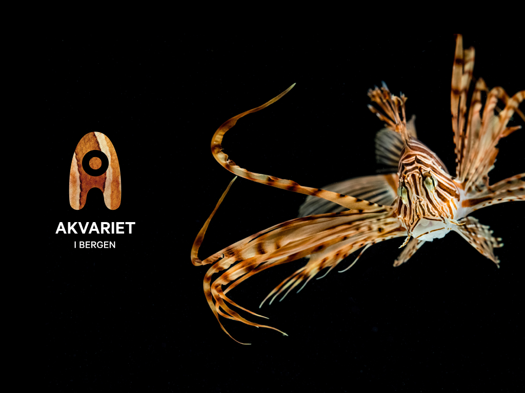 Akvariet i Bergen — The National Aquarium, Берген