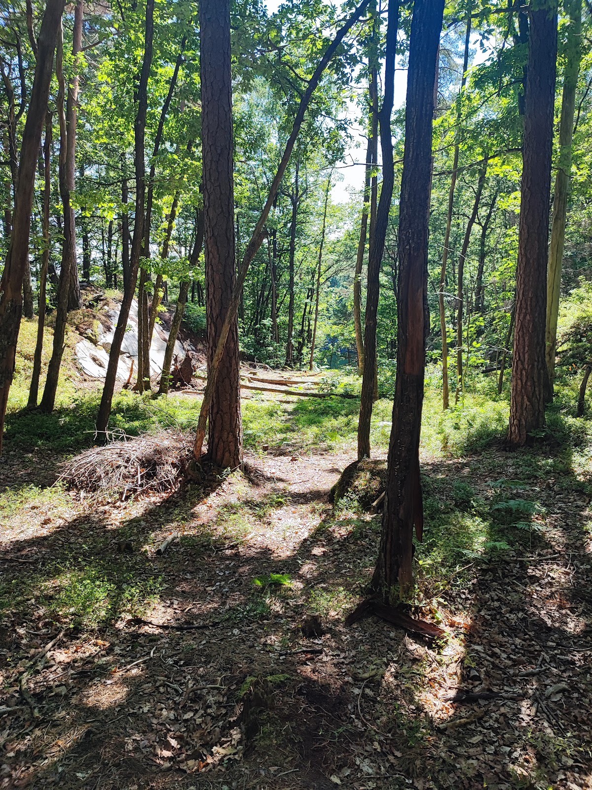 Nedre Timenes naturreservat