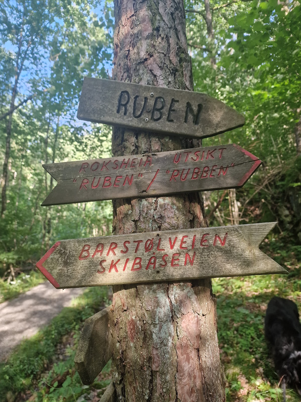 Nedre Timenes naturreservat
