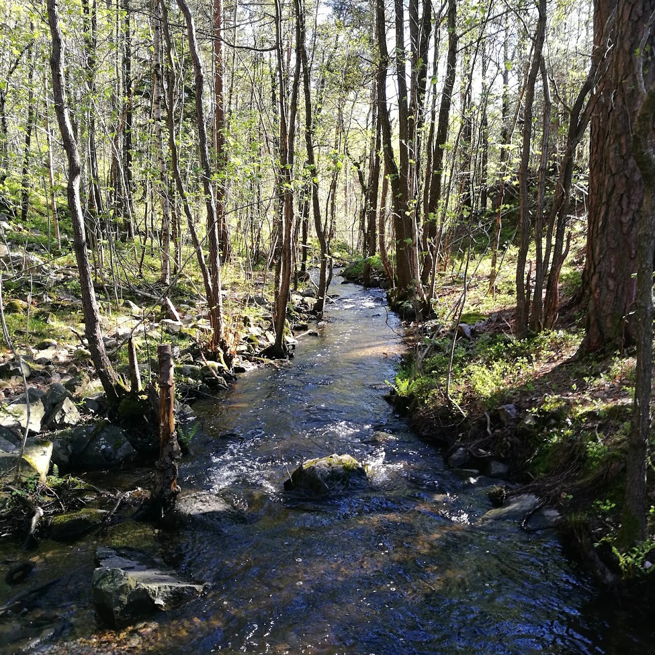 Nedre Timenes naturreservat