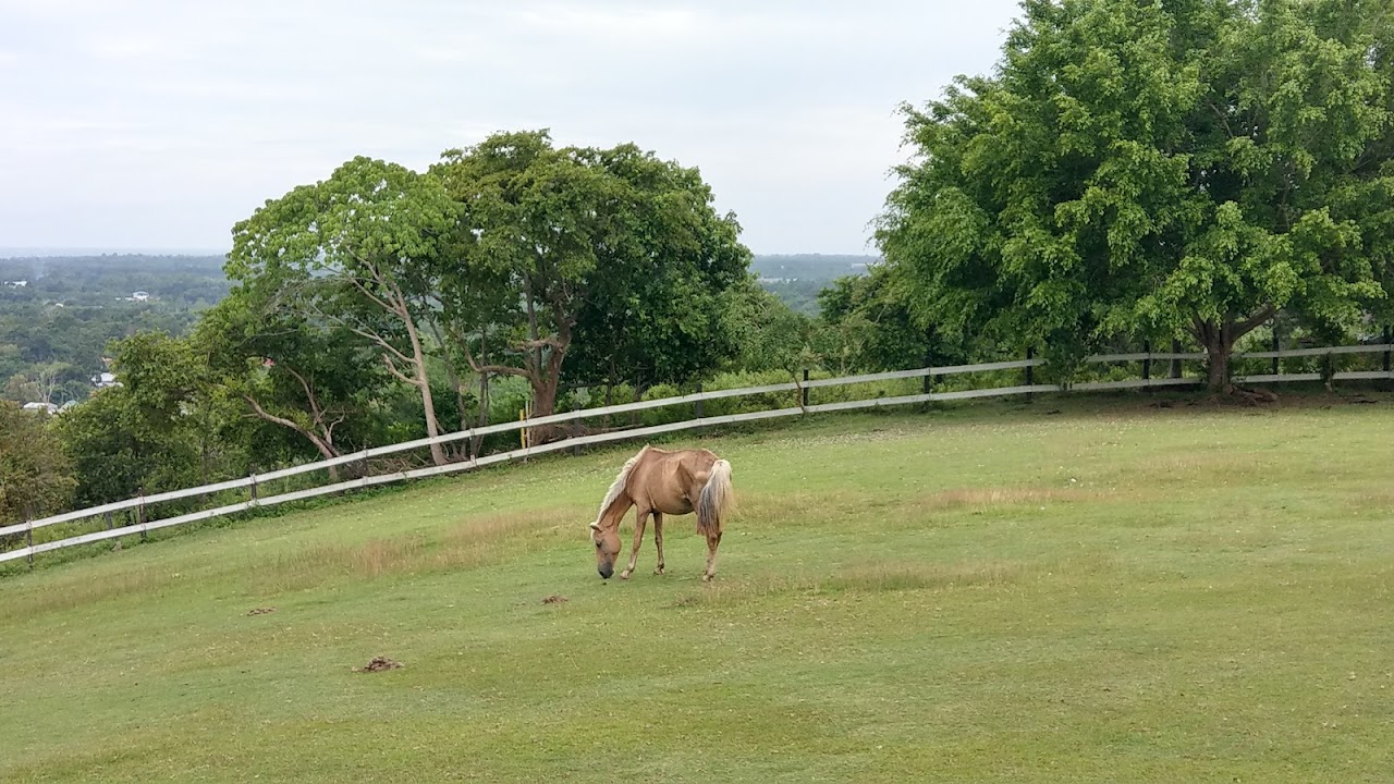 Mitra’s Ranch