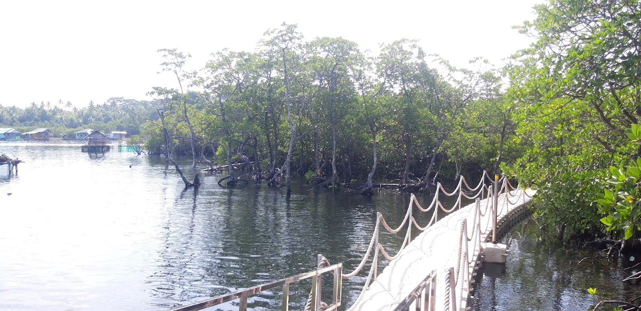 Day-asan Mangrove Forest Floating Walkway