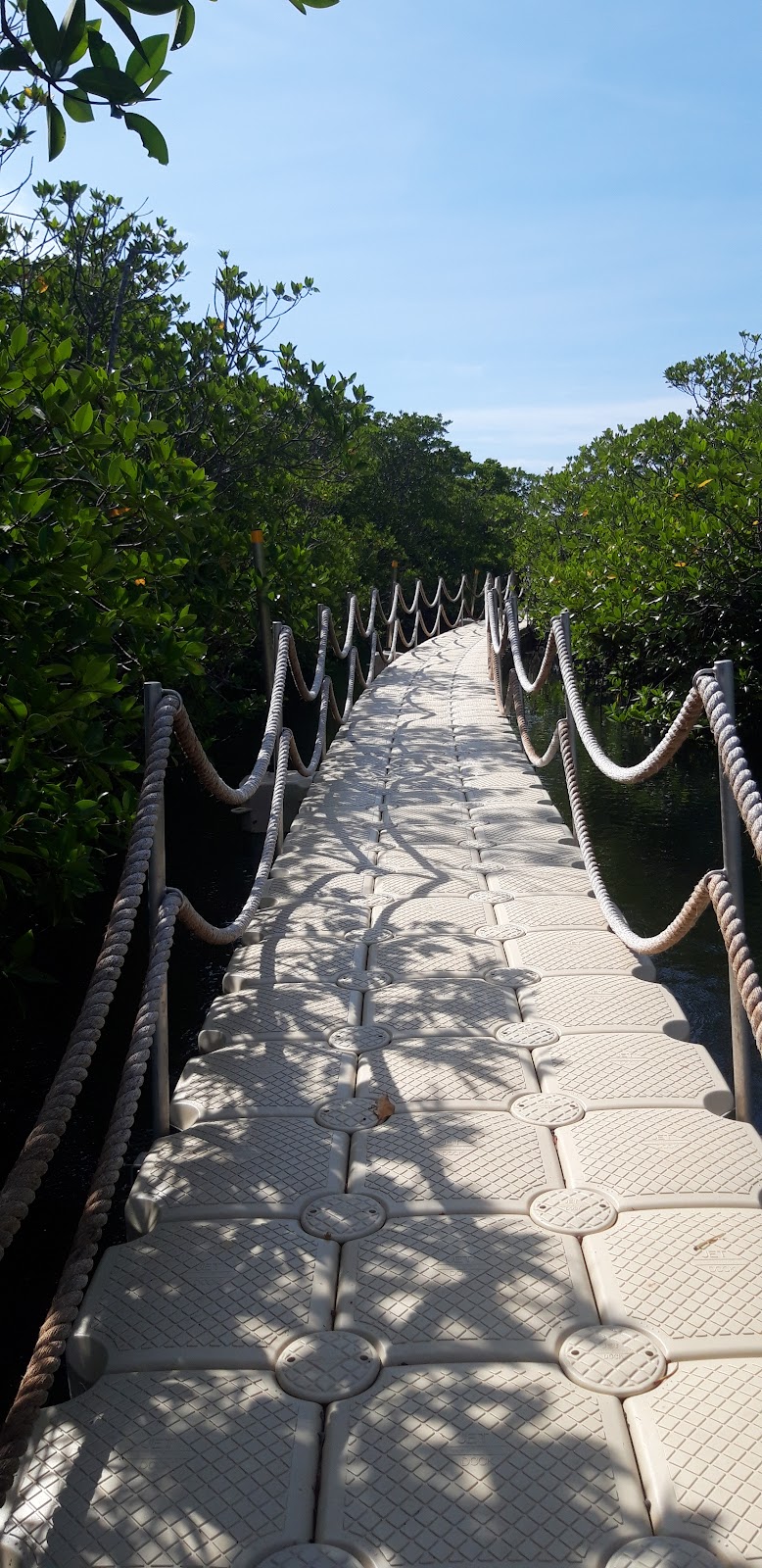 Day-asan Mangrove Forest Floating Walkway