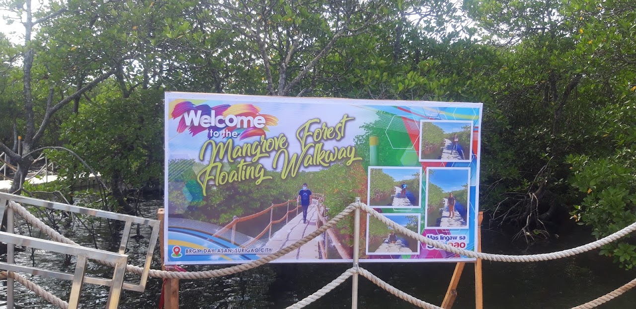 Day-asan Mangrove Forest Floating Walkway