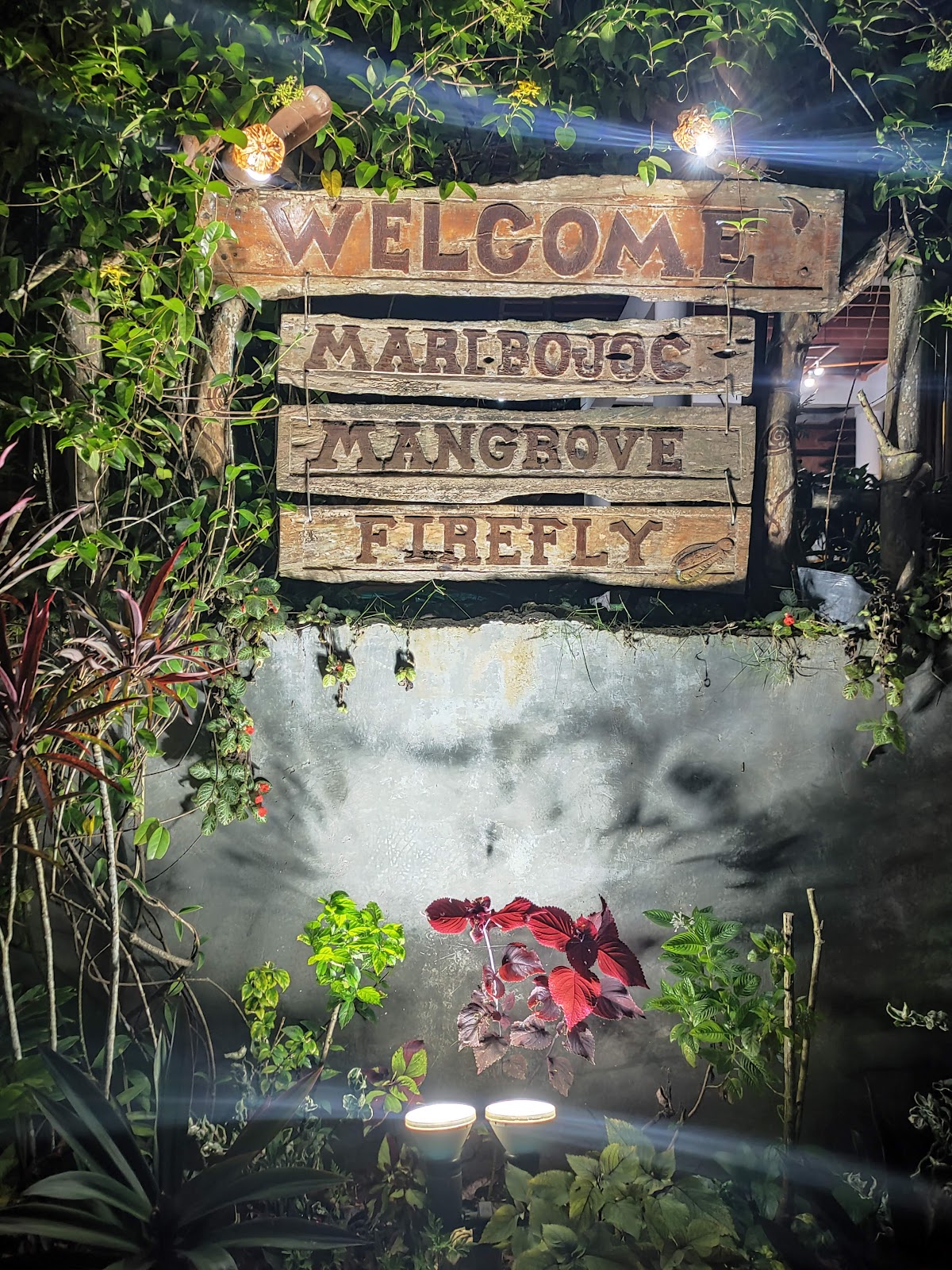 Maribojoc Mangrove Firefly Watching