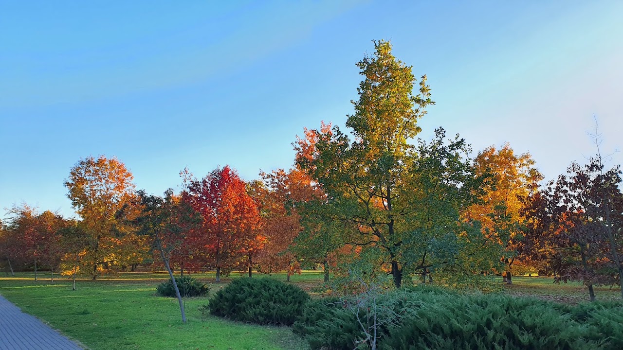 Park Millenium Gdańska, 