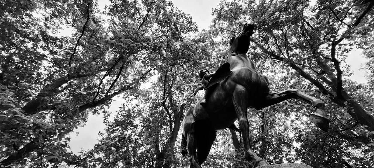 Amores on Pegasus