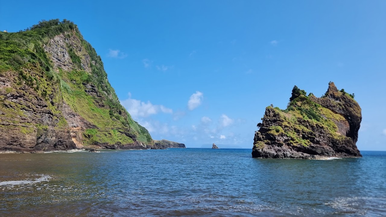Baía da Alagoa, Флориш