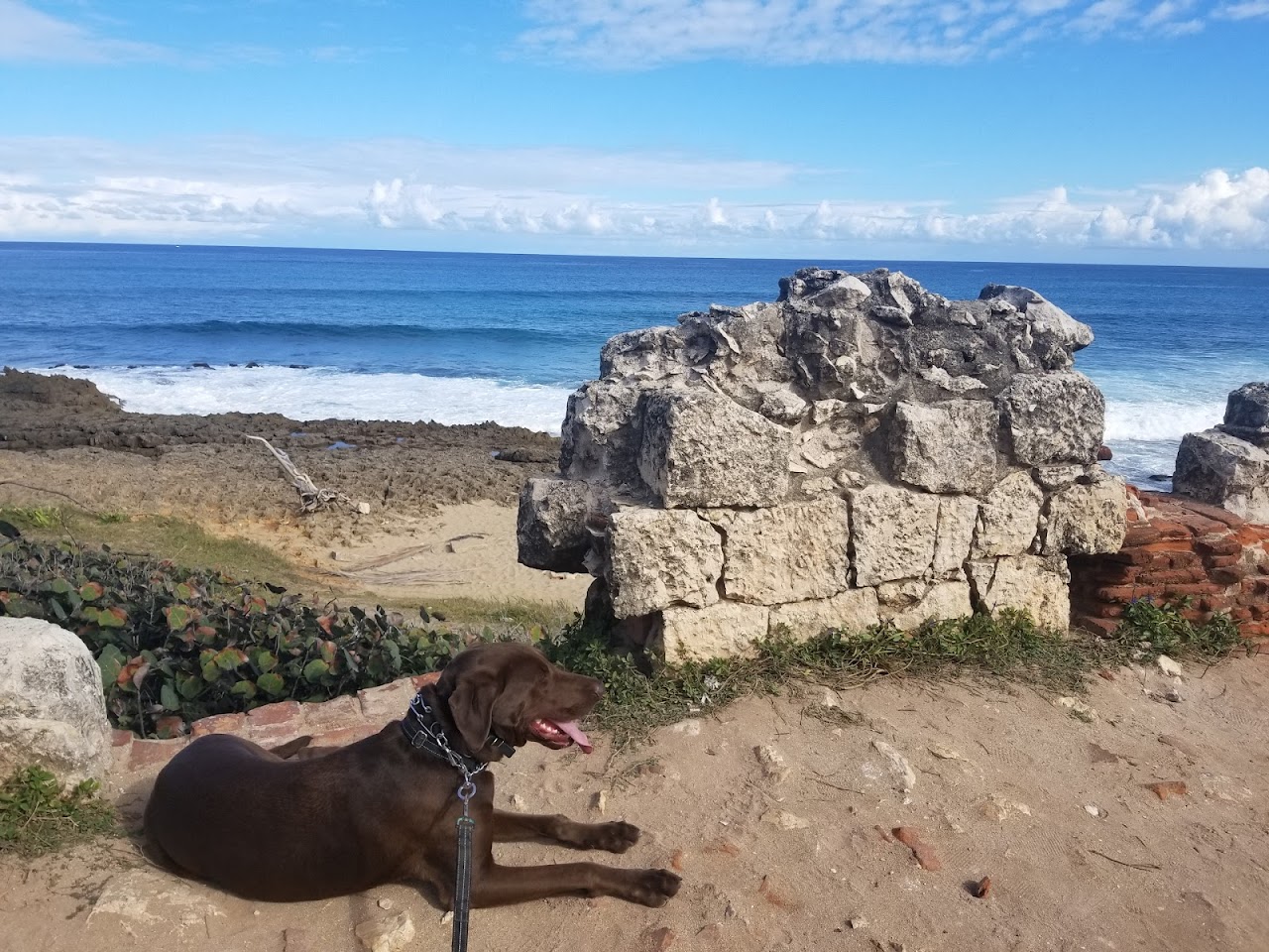 Ruinas del Faro