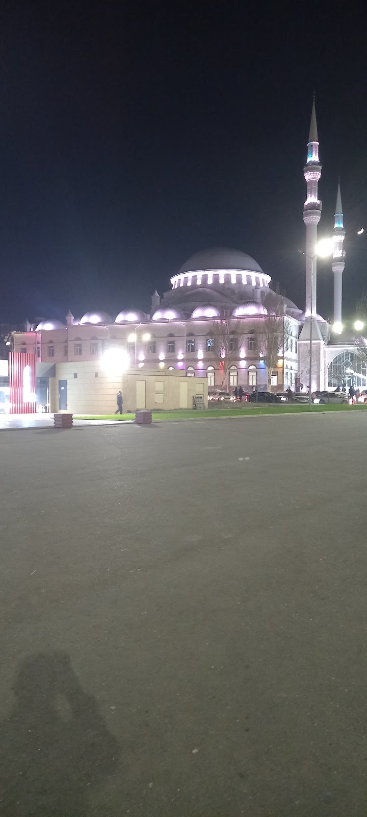 Самолет ТУ-134