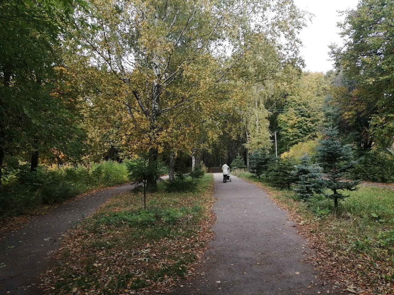 Молодёжный парк, Ульяновск