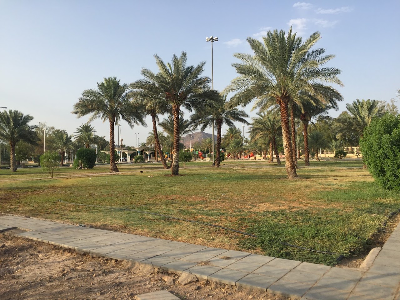 Palms Park, Медина