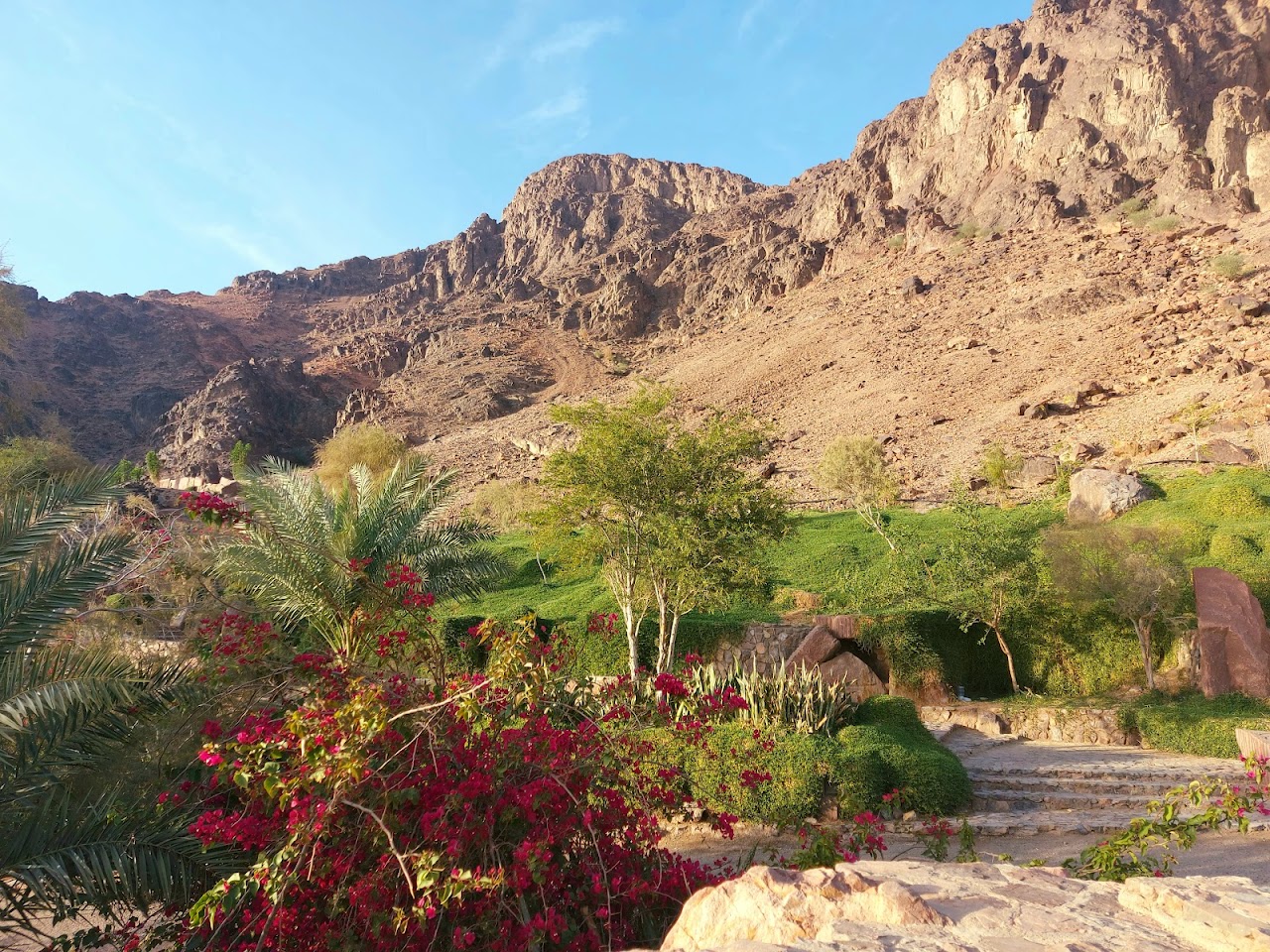 Jabal Ohud Garden, Медина