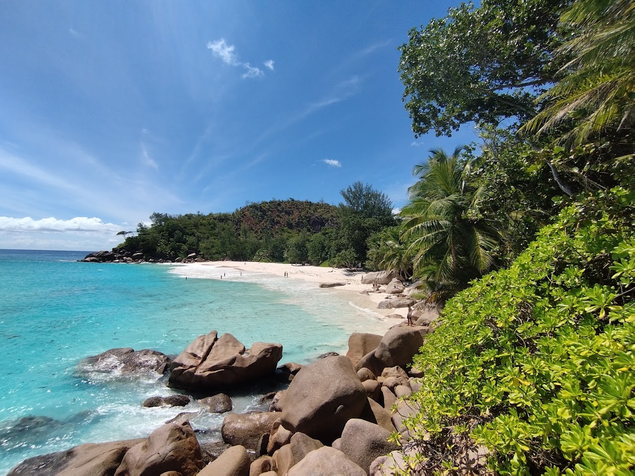 Anse Georgette beach, Праслен