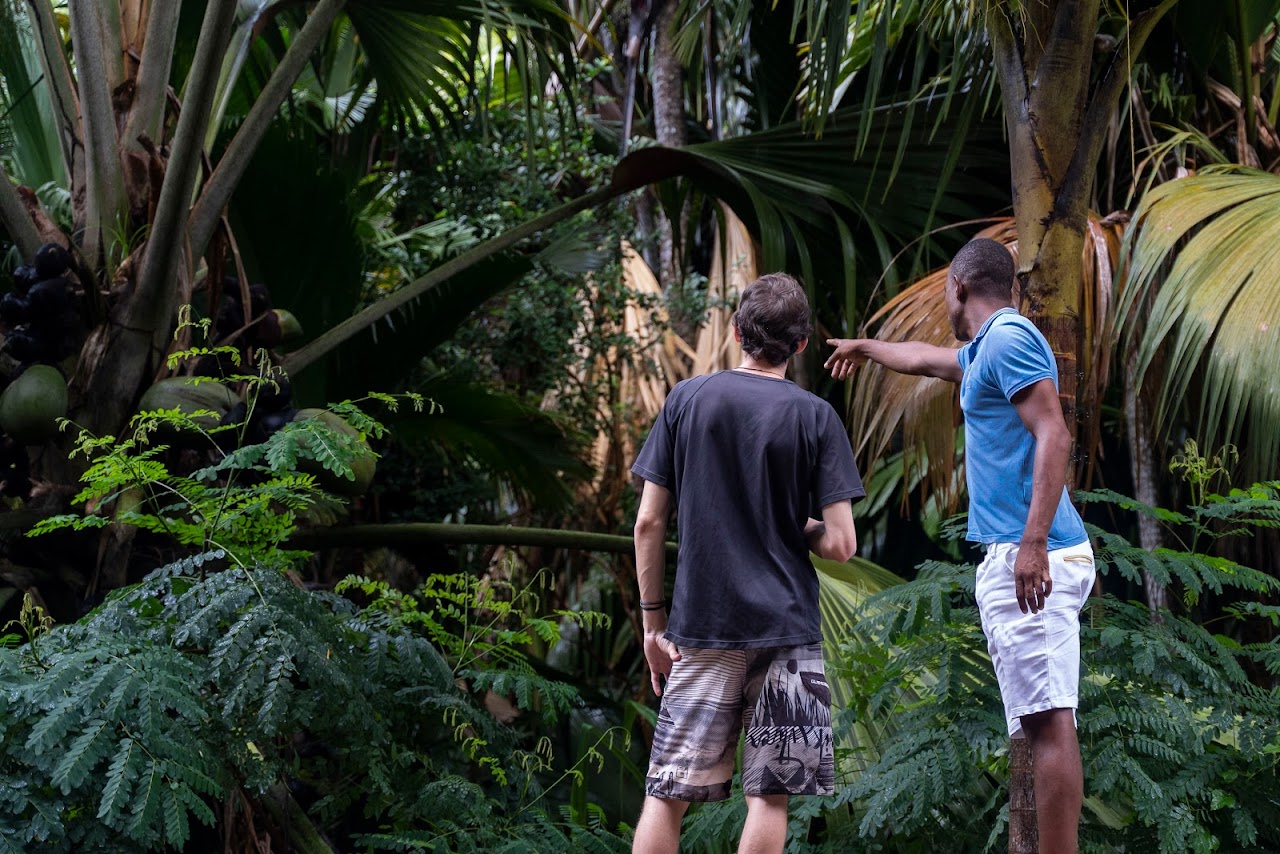 Seychellen Ausflug Deutsche Sprache . Dave’s Tour praslin., Сейшелы