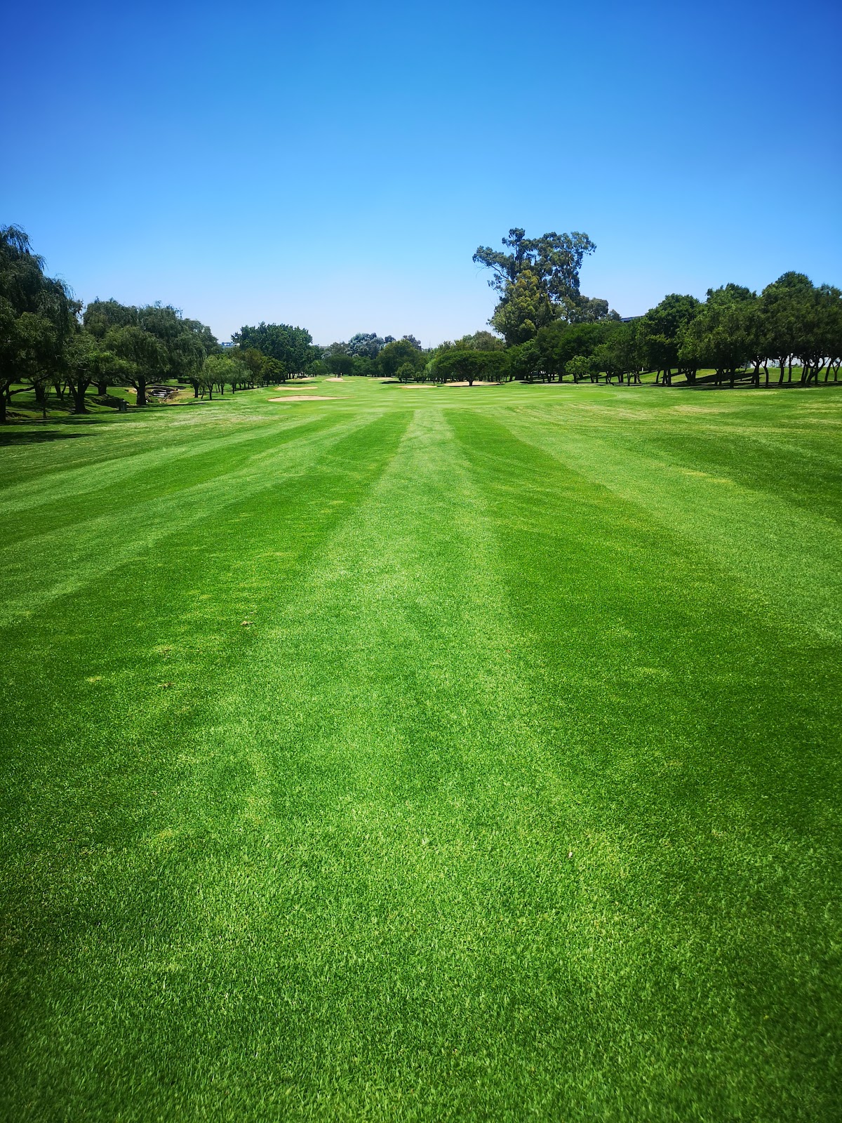 Glendower Golf Club