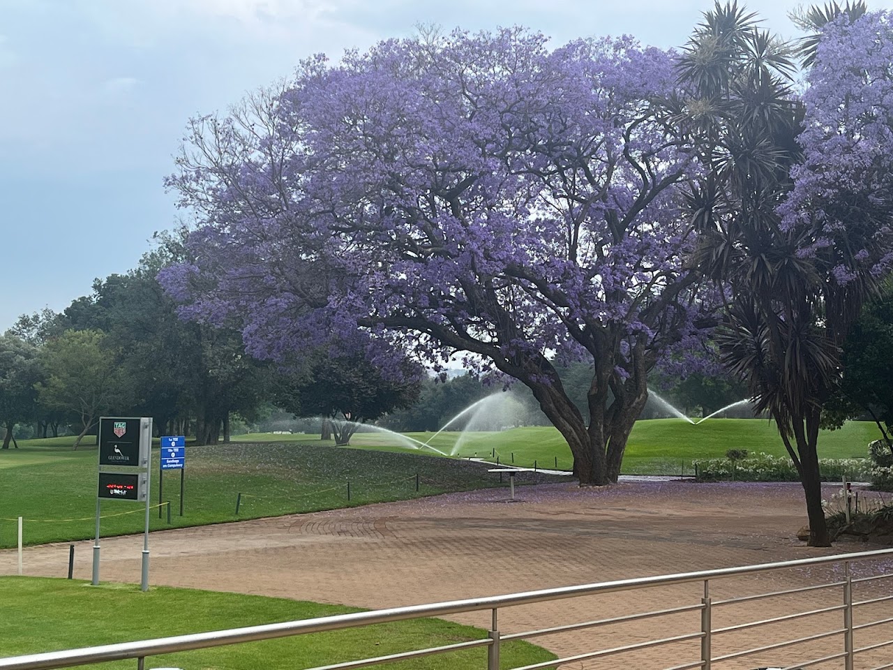 Glendower Golf Club