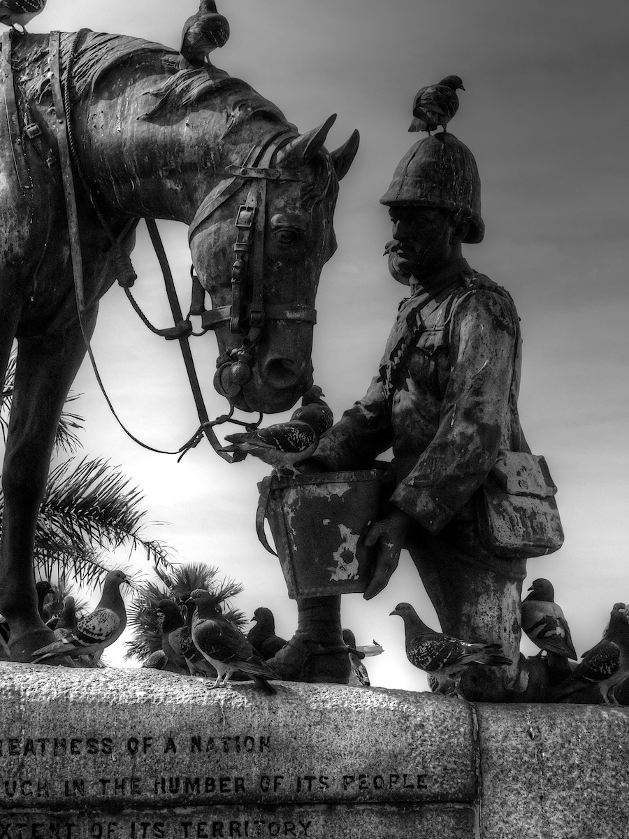 Horse Memorial