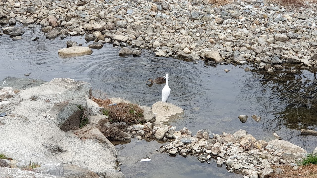 율하천교