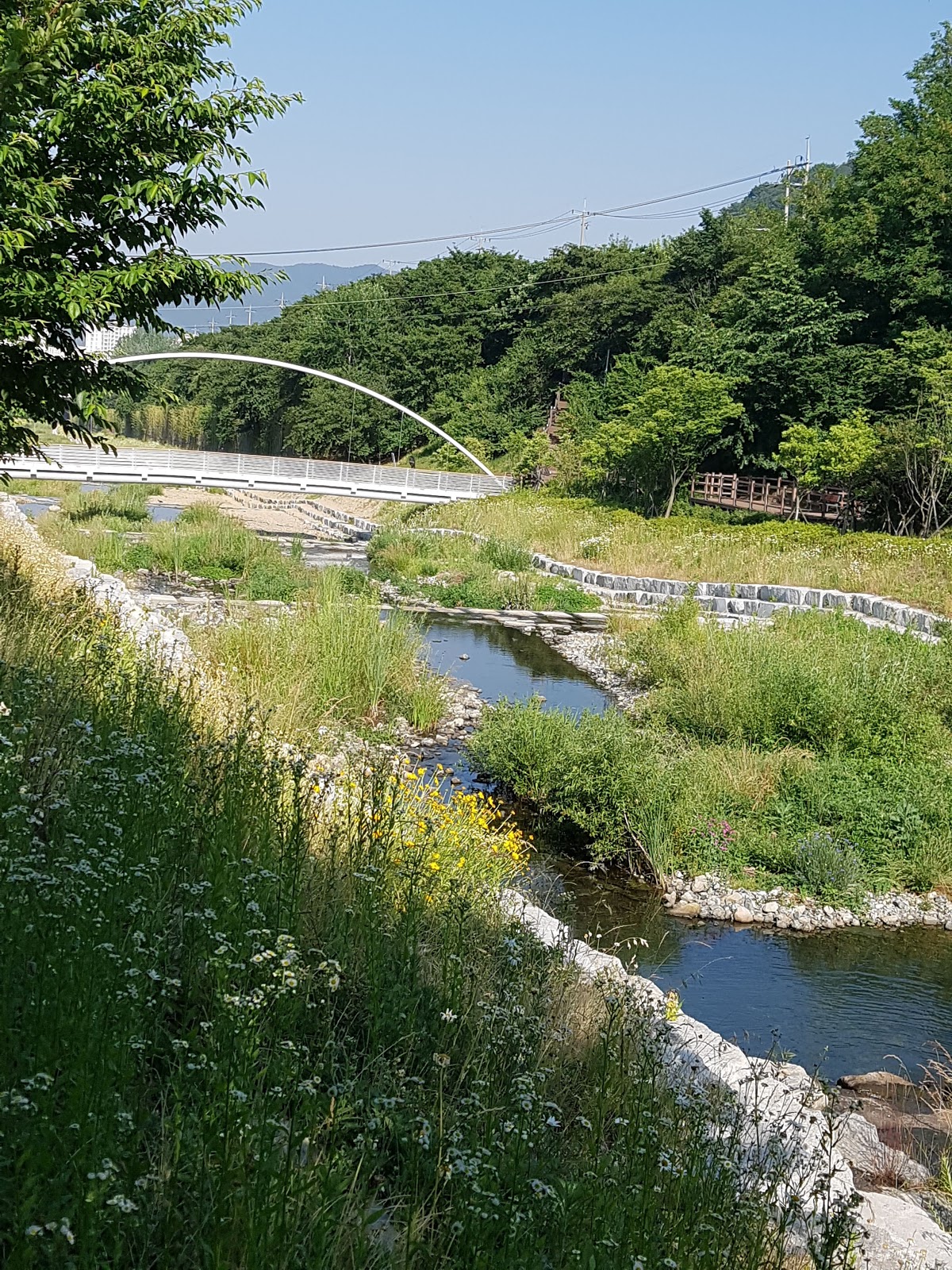 율하천교