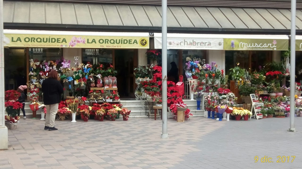 Mercat Central de Castelló, Кастельон-де-ла-Плана