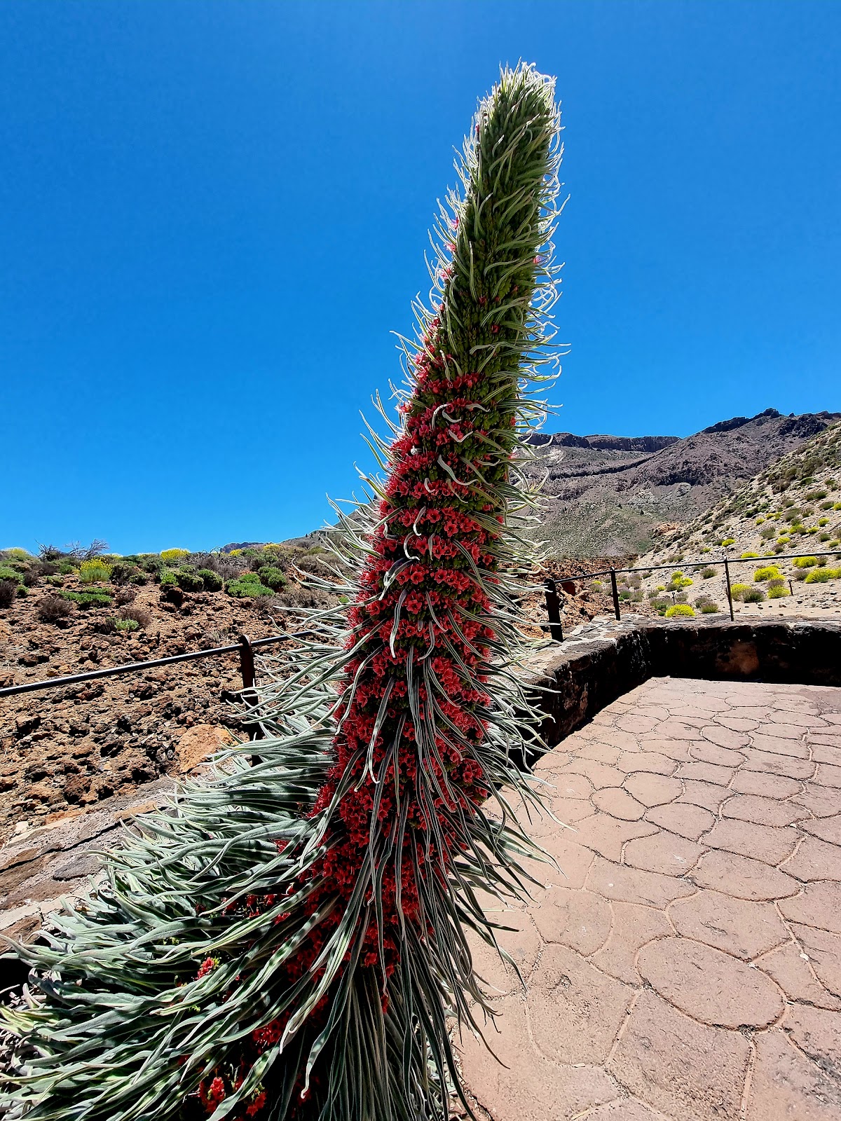 Mirador de las Narices del Teide