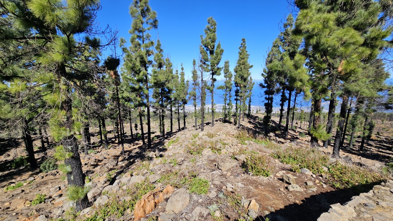 Mirador Piedra La Rosa
