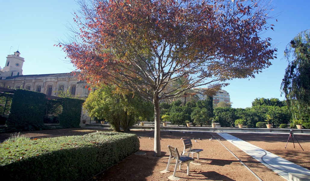 Jardín de Las Hespérides