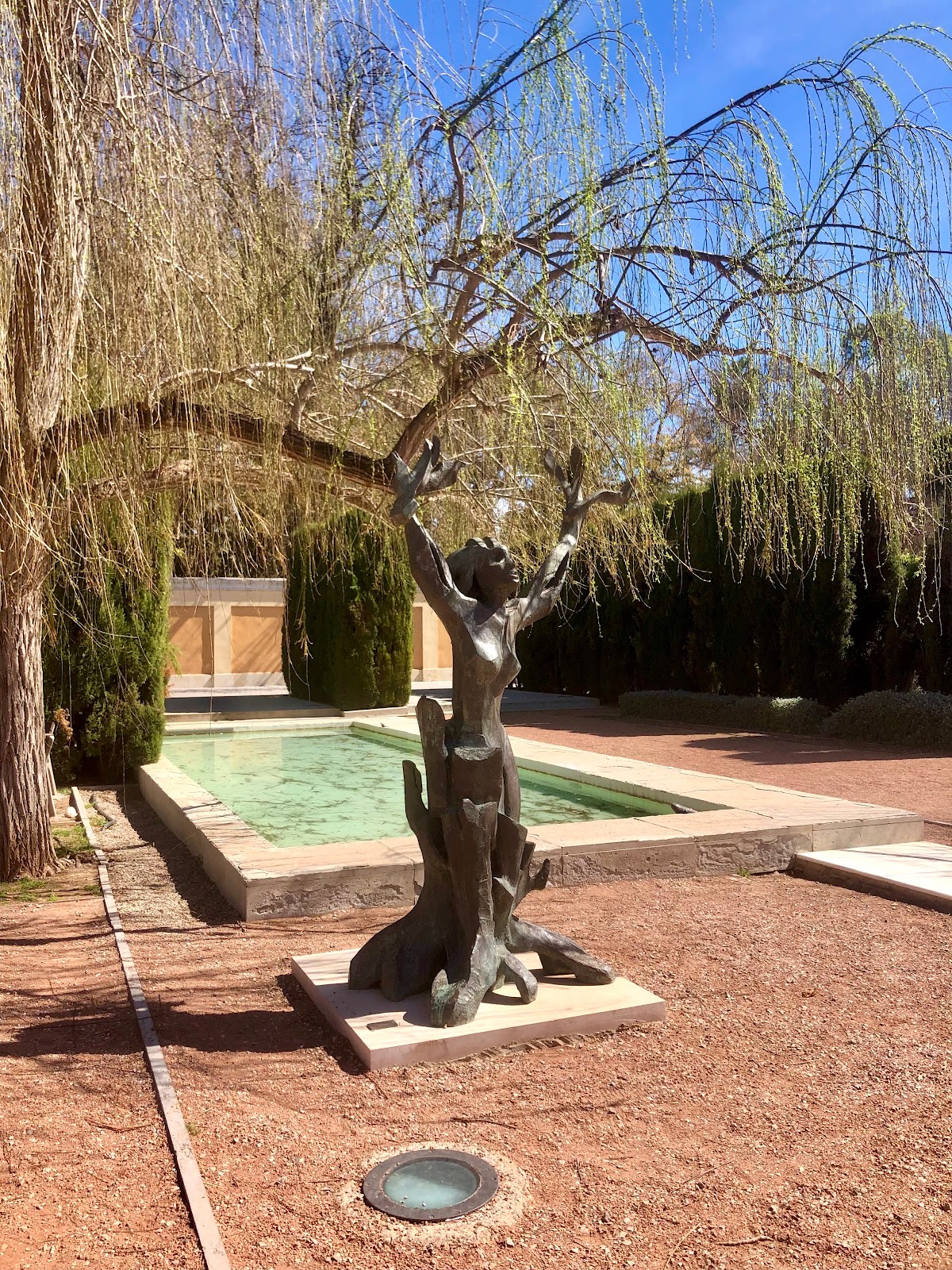 Jardín de Las Hespérides