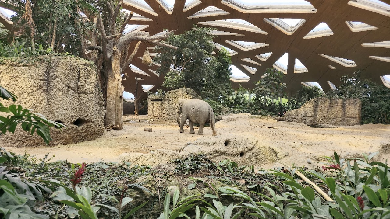 Zoo Zürich, Цюрих