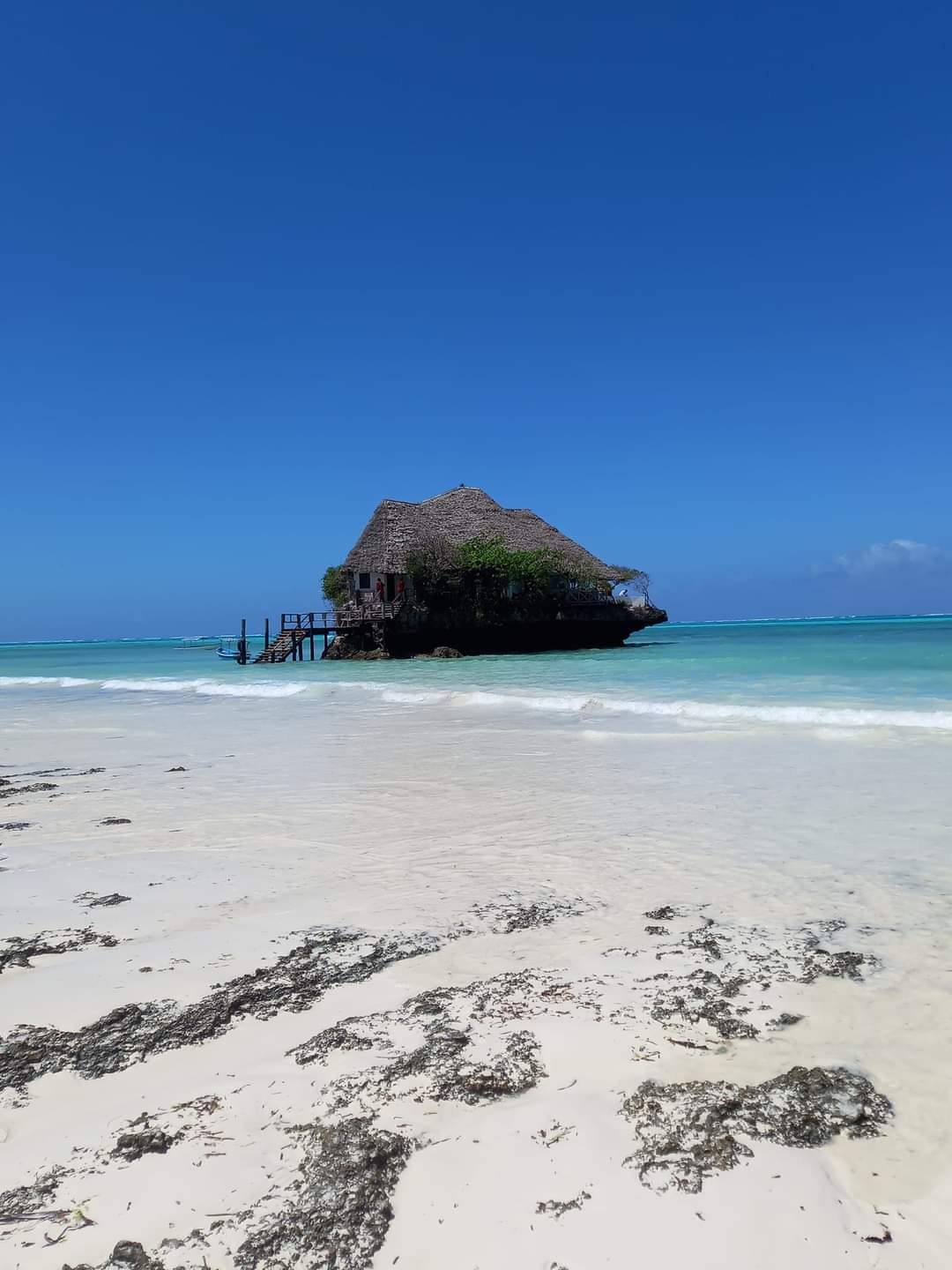 Zanzibarbest Tour & Safaris