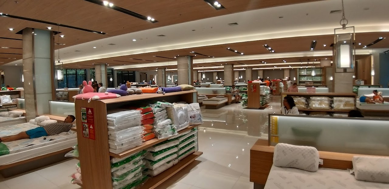 Quatex Natural Latex