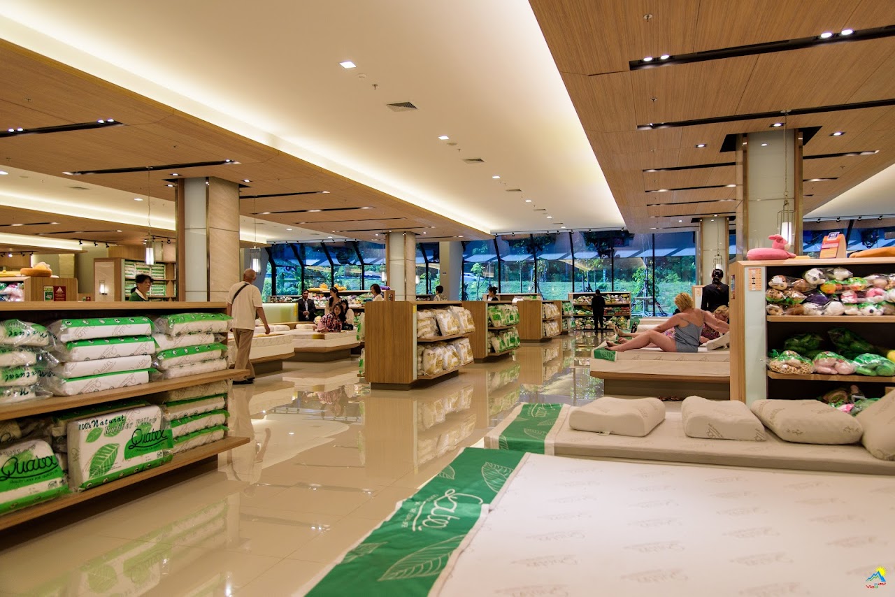 Quatex Natural Latex