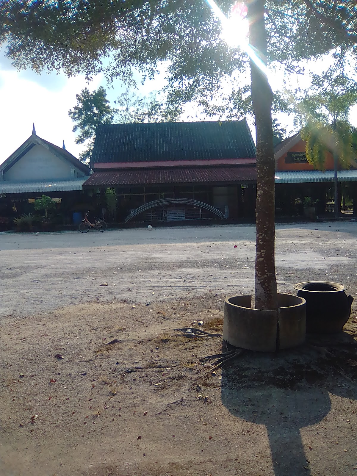 Wat Phun Phin Tai, Сураттхани