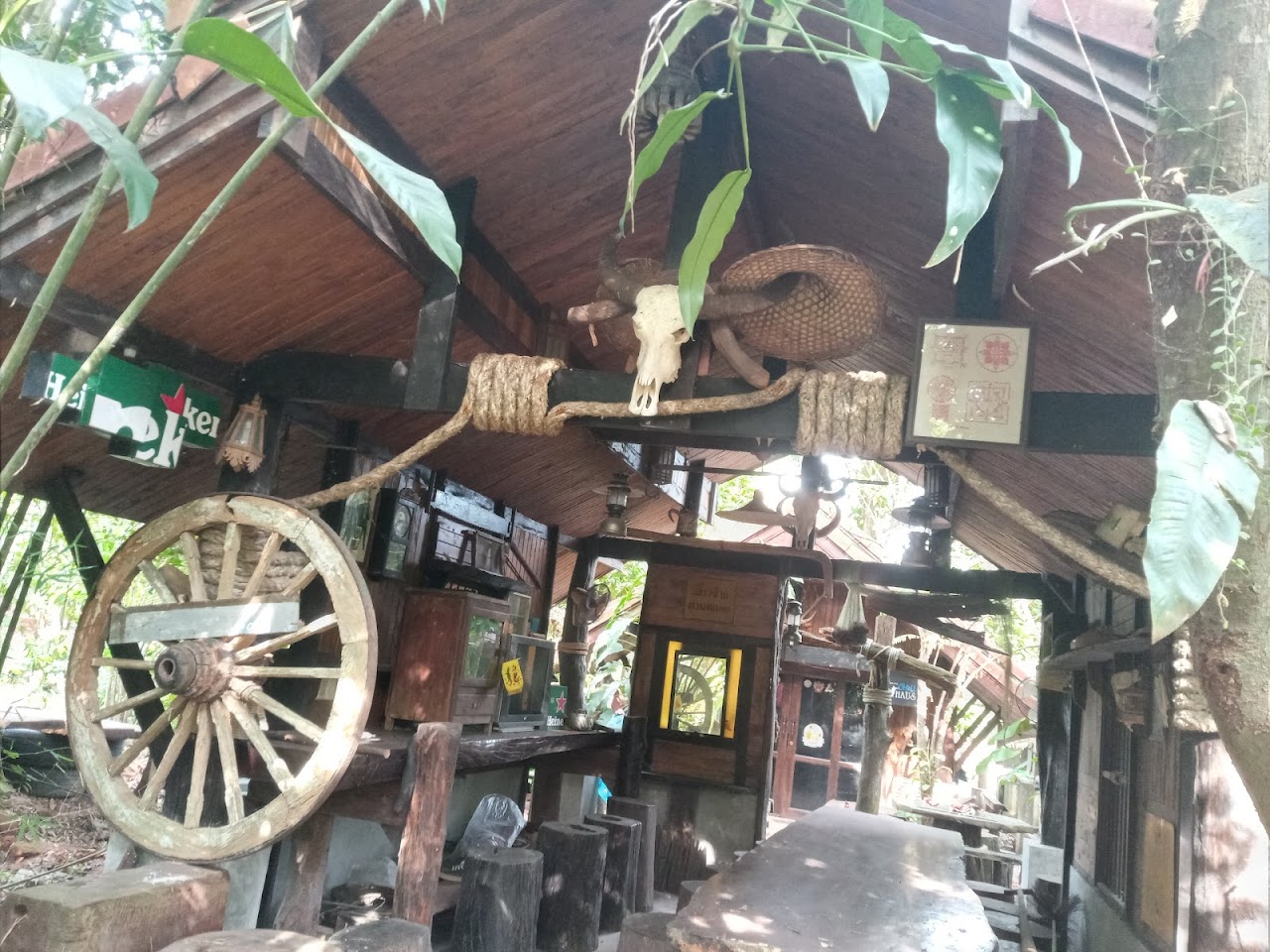 ณ ตาปี แคมป์, Сураттхани