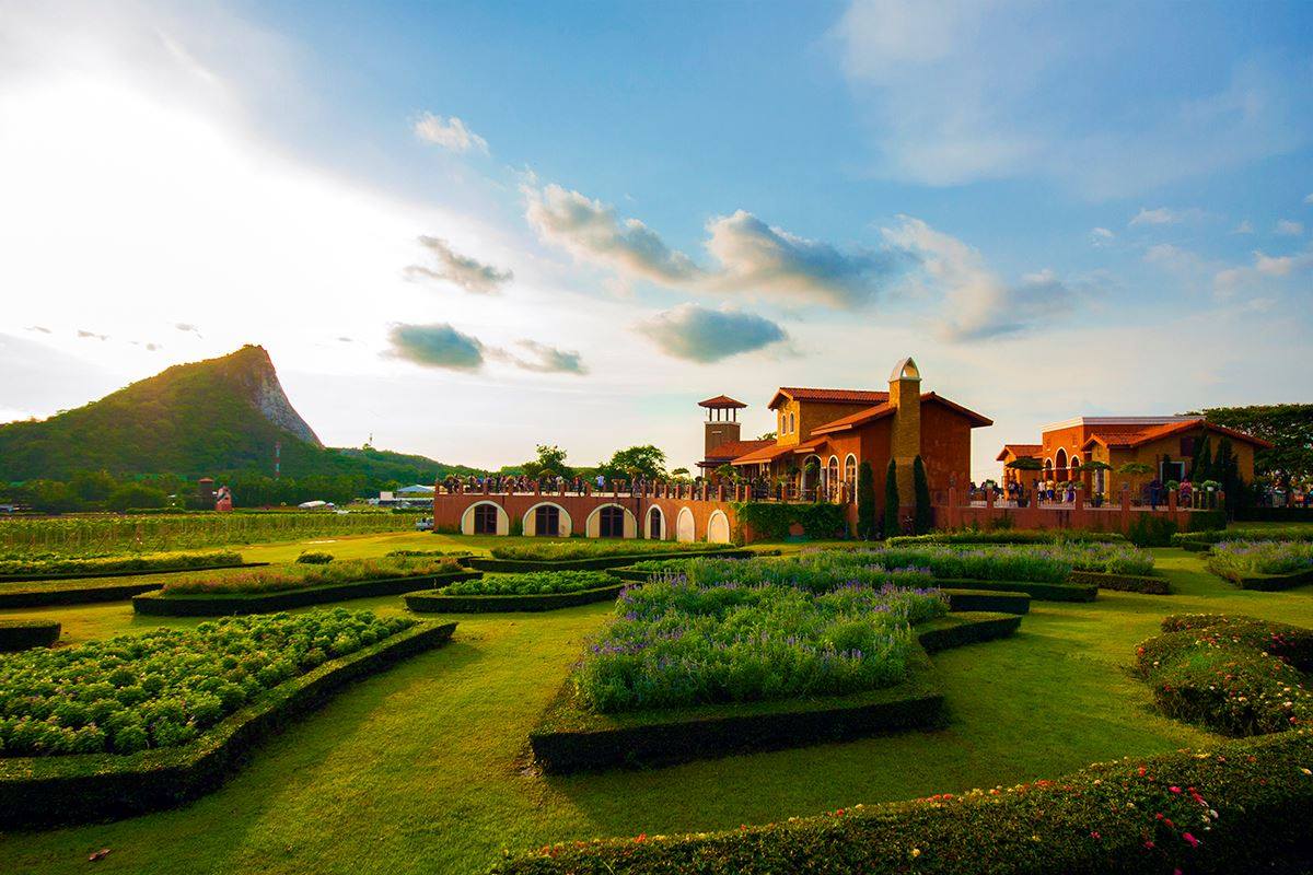 Silverlake Vineyard, Паттайя