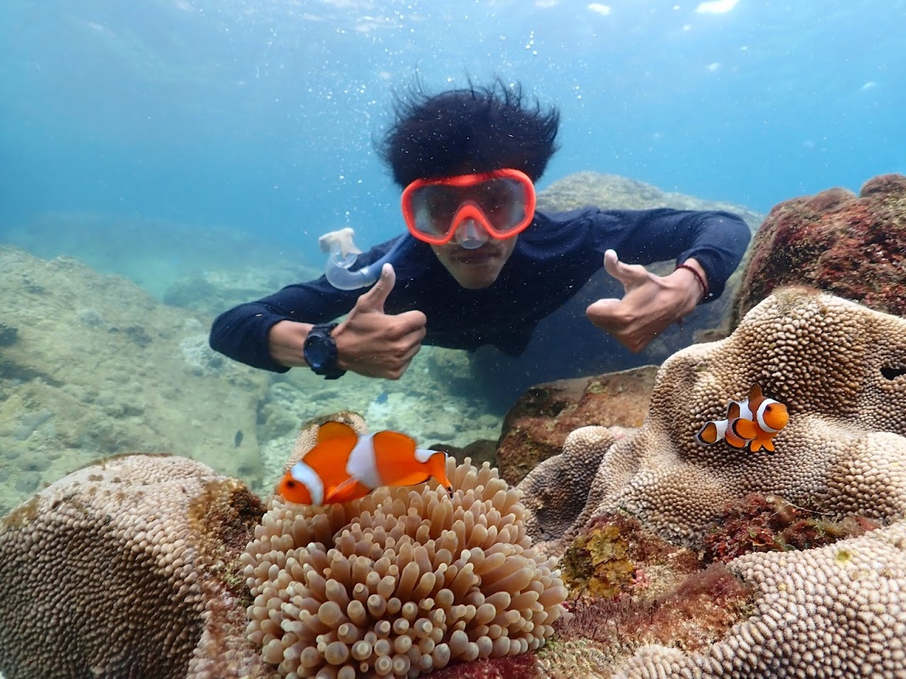 Sea Sky Snorkeling&Resort