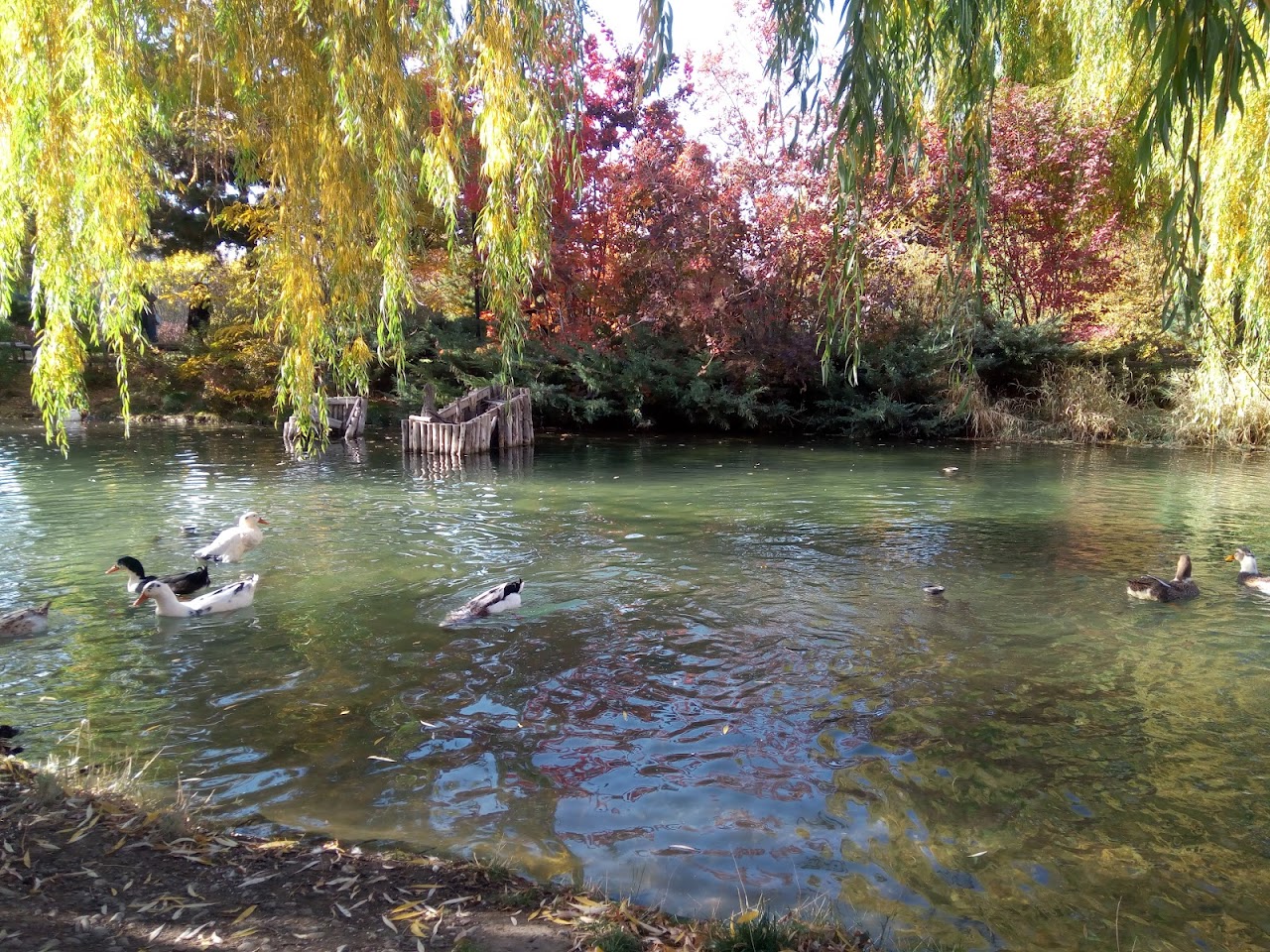 Ata Park Botanical Garden, Эрзурум