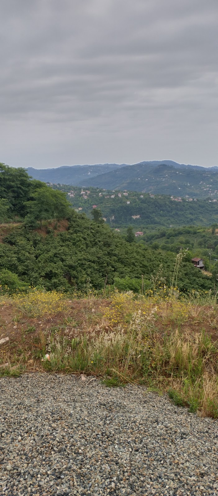 Öceli Karadere Kalp Gölü, Орду