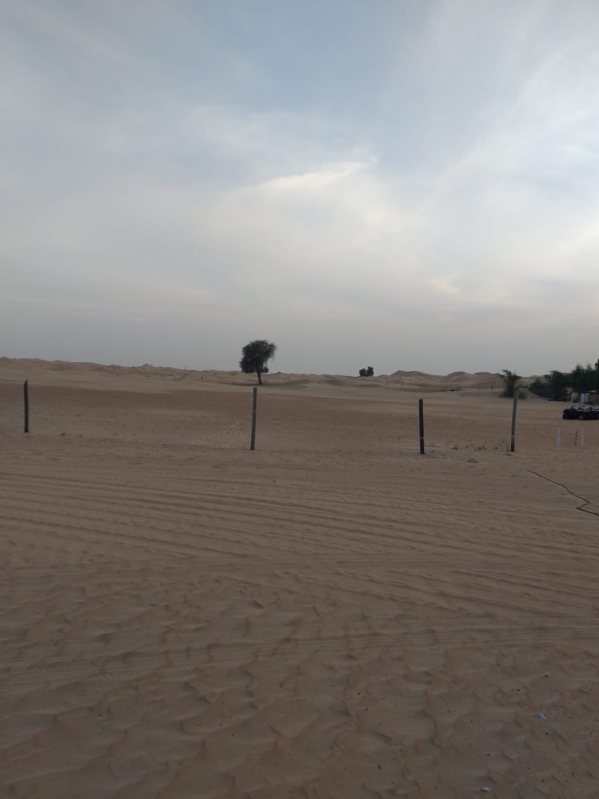 Abu Dhabi Desert Safari — Loc (01), Абу-Даби