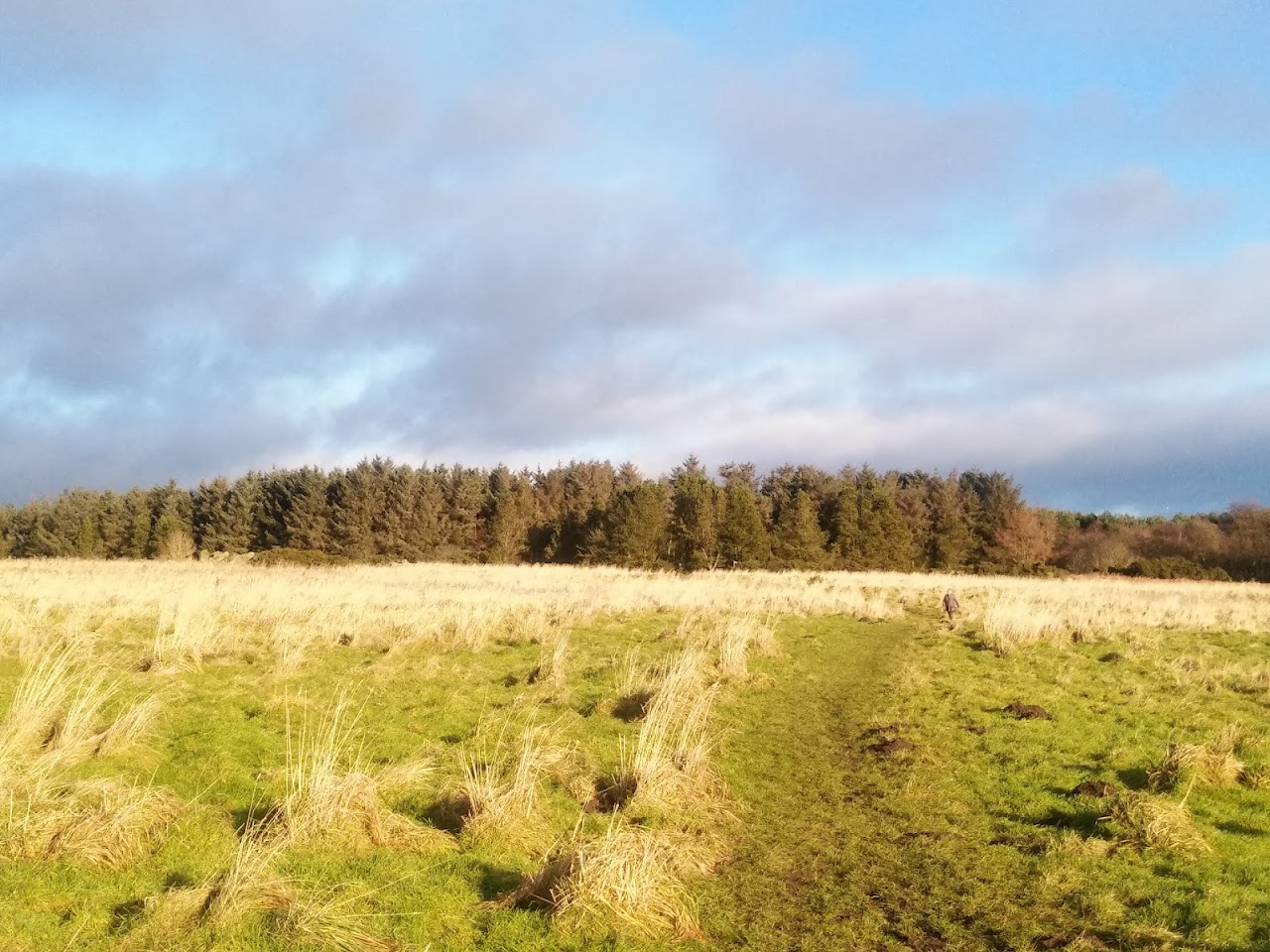 Scotstown Moor, Великобритания