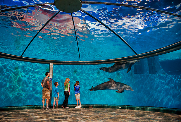 Indianapolis Zoo, Индианаполис
