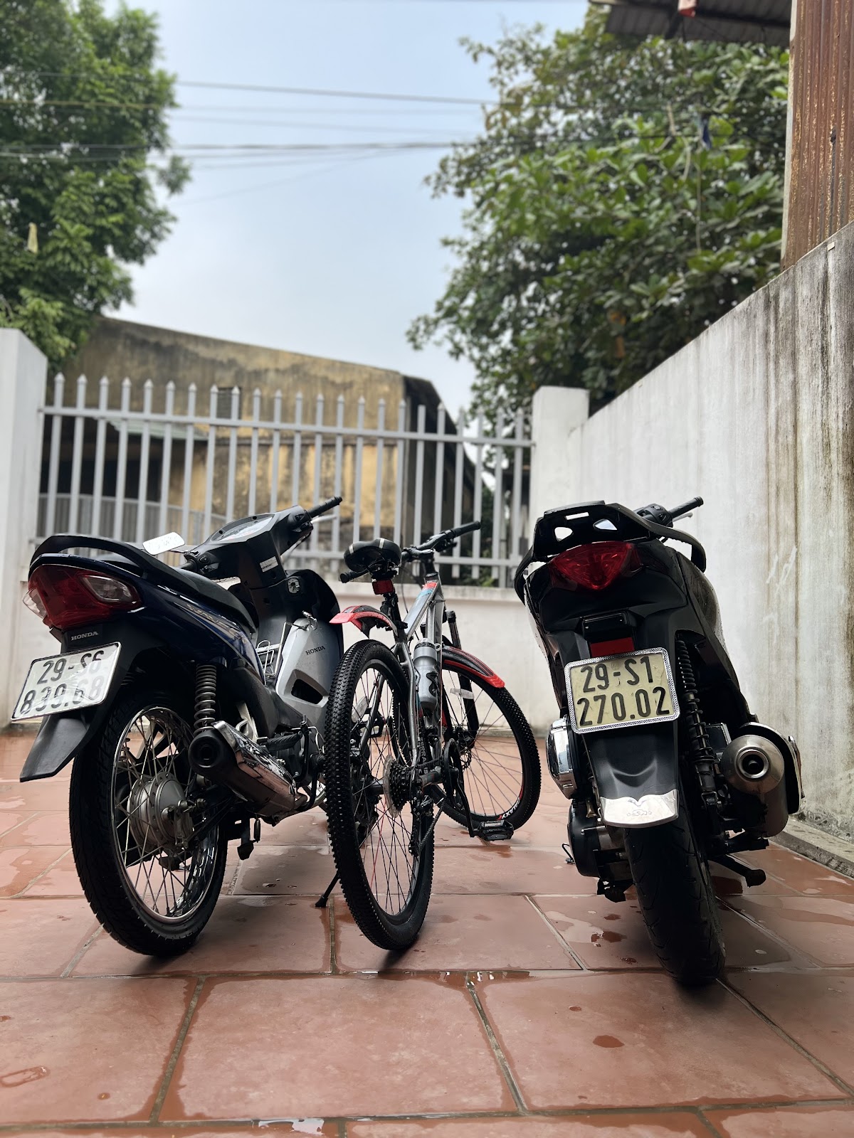 Hải Đen Shop