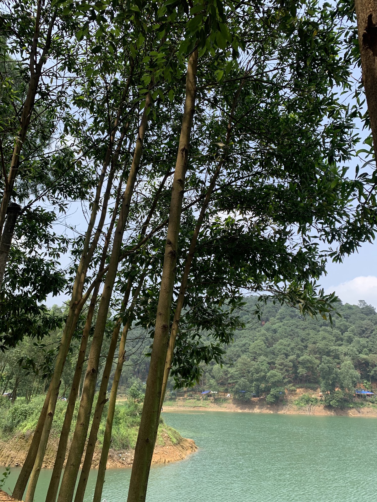 HT-Camping. Hồ hàm lợn.